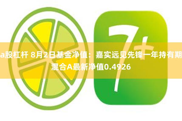 a股杠杆 8月2日基金净值：嘉实远见先锋一年持有期混合A最新净值0.4926