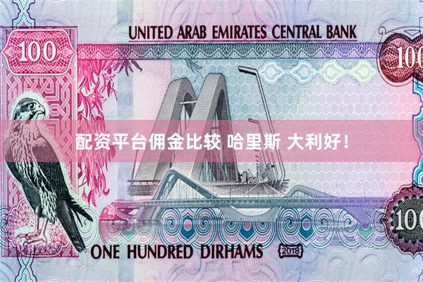 配资平台佣金比较 哈里斯 大利好！