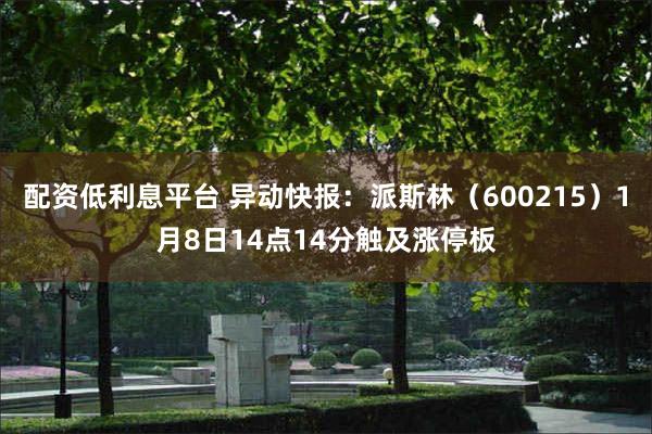 配资低利息平台 异动快报：派斯林（600215）1月8日14点14分触及涨停板