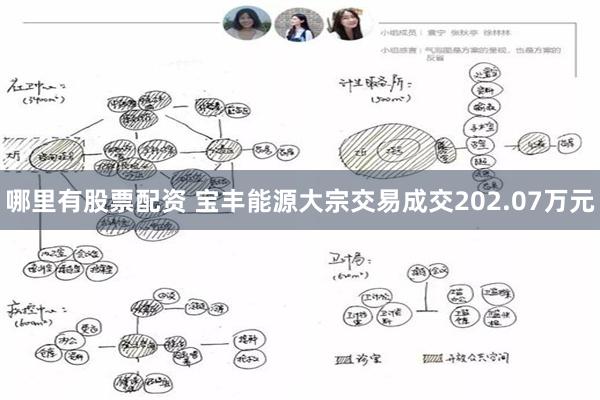 哪里有股票配资 宝丰能源大宗交易成交202.07万元