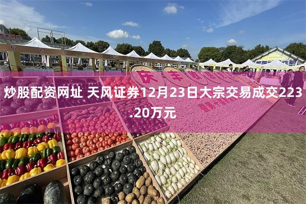 炒股配资网址 天风证券12月23日大宗交易成交223.20万元