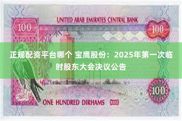 正规配资平台哪个 宝鹰股份：2025年第一次临时股东大会决议公告