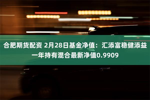 合肥期货配资 2月28日基金净值：汇添富稳健添益一年持有混合最新净值0.9909